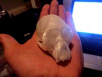 monkey skull 1 GiS by grahamdiggins