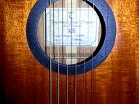 Rosace de guitare by Ecologeek