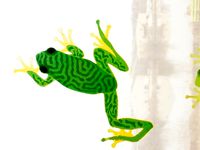 Treefrog Window Climber by DiabaseEngineer