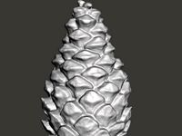 Pine cone 3D scan by scobo