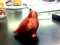 Bird scan by julsiedee