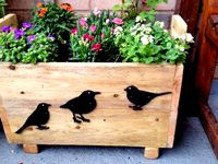 BIRD SILOUETES by Mr-Woody