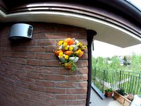 Vases for wall gardening by redooit