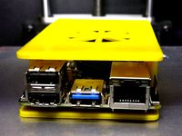 Roseapple PI Case by billkaroly