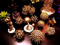 Diatoms and Mushrooms by walidaziz