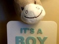 It's A Boy/Girl by Mentalist