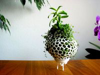 Plant Space Rocket by graph