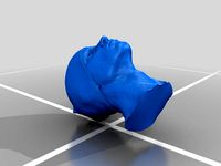 Test Basic Head by mswyatt