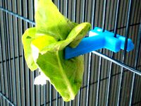 Food holder for birdcage by Teichmoloch