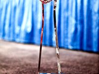 mlg trophy by nikolajmas