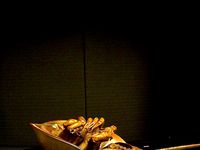 Horseshoe Crab by acatterson