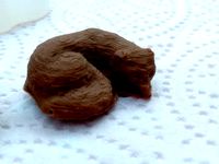 Fox Chocolate by hindessm