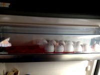 EGG Tray - Holder by HydraHimera