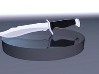 CS:GO Bowie Knife by propm