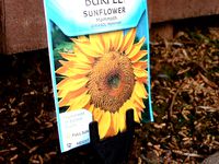 Seed Pack Holder by dylan77