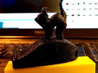 V29 with cat by danielkschneider