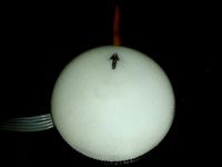 Phantom FC40 External GPS Holder by jasdall