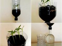Passive hydroponic system for seedlings by N3utrin0