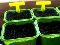 Planter signs, Small signs, Super when starting seeds indoor. by teneopreto
