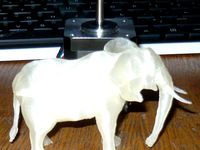 Elephant - Split by norm8332