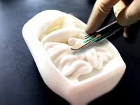 Corporeal - A Human Dissection Project by HZMD