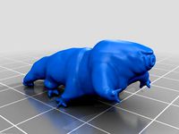 Water Bear Bärtierchen Tardigrada by Frief