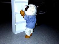 BookCase v0.5 by WhizzCat