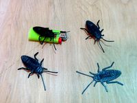 Cockroach by 2ROBOTGUY