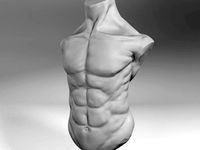 Male Torso by RenatoT