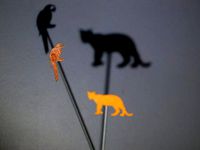 Shadow Theater - wild animals bundle by heraldomedeiros