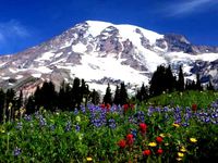 Mount Rainier by WyattChurch1