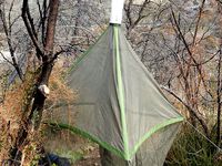 Malaise Trap Head (UC Berkeley) by iaki