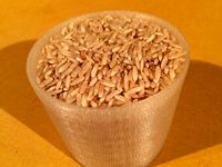 Rice Cup by theron