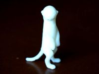 standing meerkat by bs3
