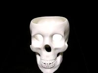 Skull Planter by killisch