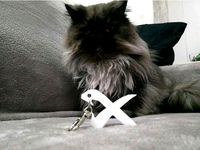 [XtremeFPVSpain] Keychain by FenixFC