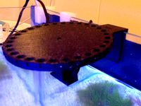 Automatic fish feeder for aquarium by Coppola