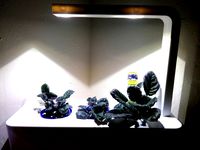 Click And Grow(TM) Planter by hemares