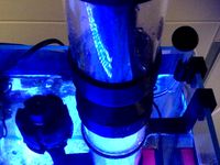 Protein skimmer for sea water aquarium by Coppola