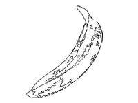 Banana illustration - Kang na yun by Sookmyung-VisualDesign