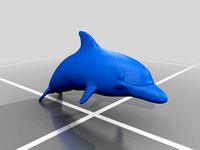 Dolphin by alongruss