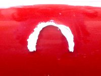 Bernie Logo by Fredbartels