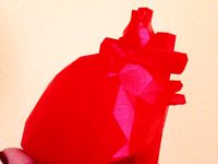 Low Poly Heart Model by caiazzo92