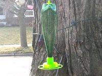 Bird Feeder (with soda bottle) small seed revision by woodzie