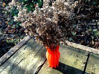 Strange Vase by Shapescribe