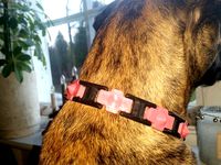 Dog collar with studs by 3DPingu