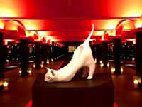 Crazy Cat Shoe by DataDink