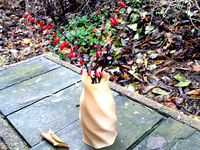 8-sided Vase by Shapescribe