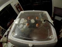 Hovabator fan mounts by moose4621