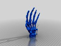 hand_wrist by drjbartlett